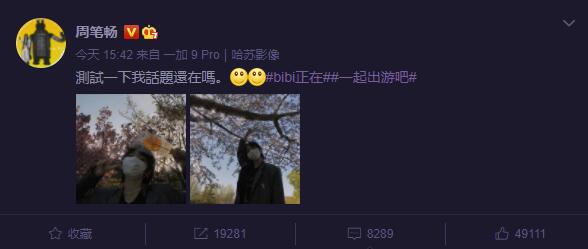 周笔畅罕见晒自拍 粉丝:“今天是什么日子呀”