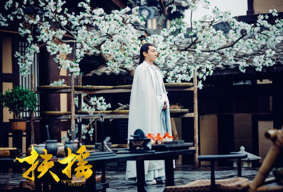《扶摇》长孙平戎即将驾到 赵楚纶尽展大皇子贵族气质
